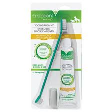 Enzadent Toothbrush Kit