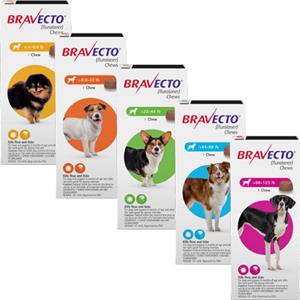 Bravecto 3 month Chew